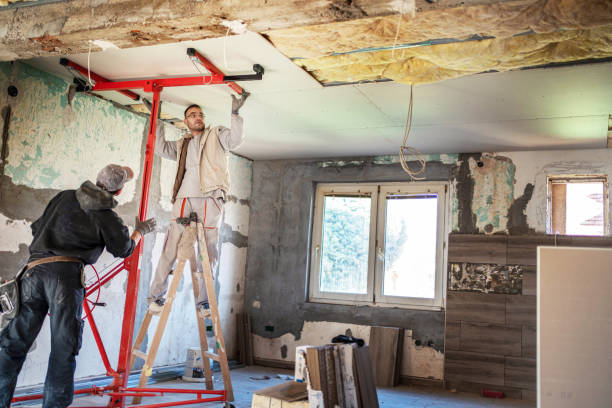 Best Insulation Inspection Services  in Kekaha, HI